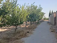 أرض سياحية للبيع في المليحة بريف دمشق - 5000 م²