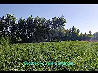 للبيع أرض سياحية 450م² في المليحة بسعر 22 مليون ل.س