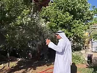 مزرعة للبيع في مضايا الزبداني بسعر 165 ألف دولار