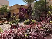 فلل للبيع في داريا - 1063م² - 12 غرفة نوم بسعر 275,000$