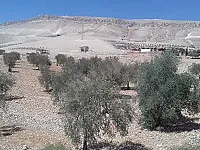 أرض استثمارية للبيع في معرونة ريف دمشق 6000 م² بسعر مغري