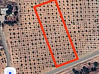 أرض للبيع في شنشار تبعد عن مدينة حمص 14كم - 5000 م² بسعر مغري