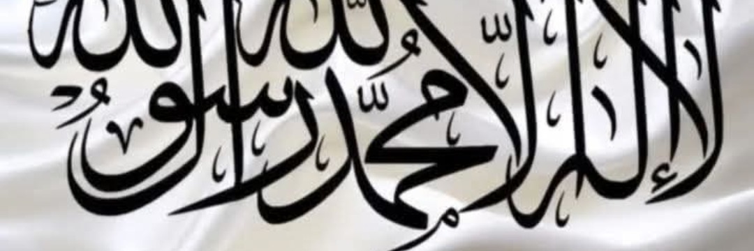 علاء الطويل Cover