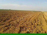 أرض زراعية كبيرة للبيع في حسياء، حمص - 400,000 م²