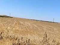 أرض زراعية للبيع في البوير، حمص - 40000 م²