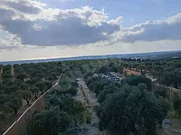 مزرعة منطقة خربة الجوزية