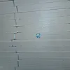 صورة المستخدم