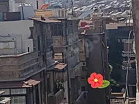 شقة للبيع في الشهبندر بدمشق مع سطح 165م² بسعر 400 ألف دولار