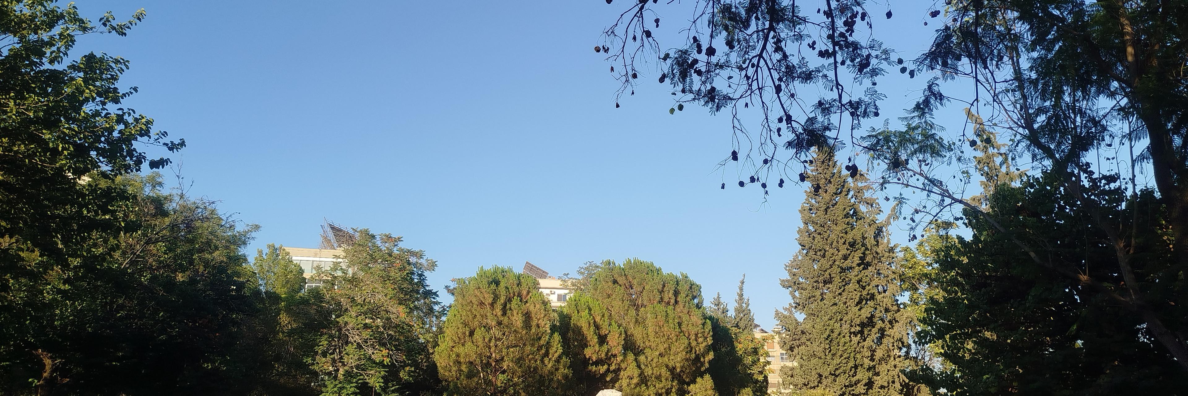 شفاء الخليل Cover