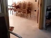 شقة للبيع في تنظيم كفر سوسة 180م² مصعد 24/24 جاهزة للسكن