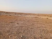 أرض زراعية للبيع في تل شنان ريف حمص 87500 م² بسعر مغري