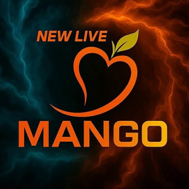 شركة مانجو.Mango