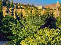فلل للبيع في مركز قطنا - 2000 م² - 6 غرف مفروشة
