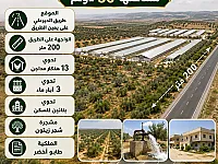 مزرعة للبيع في الكسوة، 50 دونم، 1,000,000$