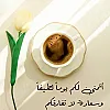 صورة المستخدم