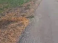 للبيع 5800 متر النشابيه حزرما  سعر الدونم 12000 وبازار