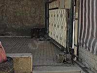 شقة تراس فاخرة في مشروع دمر - 5 غرف 