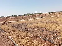 أرض زراعية للبيع في خان الشيح - 5000 م² بسعر مغري