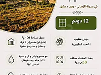 مزرعة 12 دونم للبيع في الزبداني مع منزل ومسبح