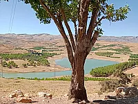 بيع أرض سياحية بإطلالة رائعة في بحيرة زرزر - ريف دمشق