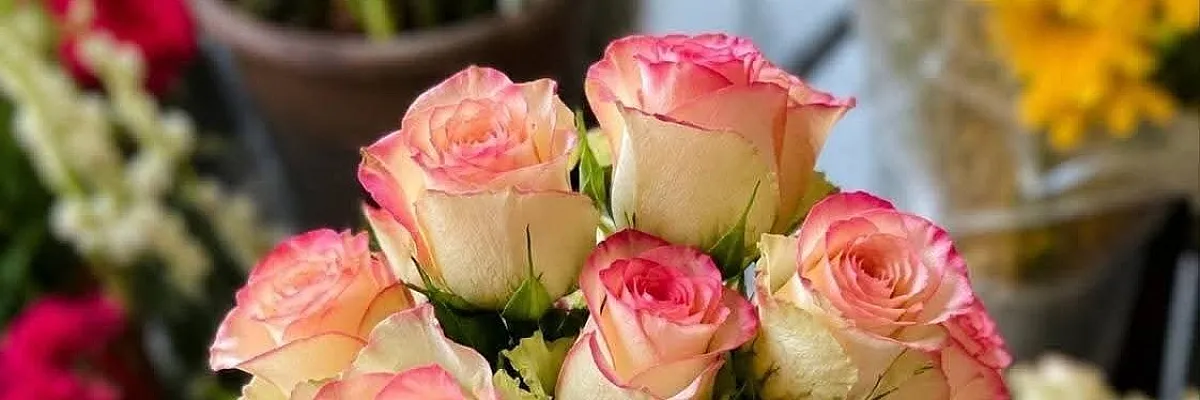 فهد جبر Cover