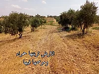 ارض زراعية للبيع بمساحة 27 دنم..في ريف حمص الشرقي قرية ابو حكفة 