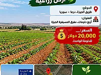 بيع أرض زراعية 4000 م² على طريق الجيزة – درعا بسعر 80,000$
