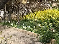 ارض بمطقة الربوه موقع استراتيجي ممتاز