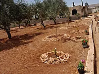 أرض  و فيلا سكنية عالعضم للبيع في الديماس - 4336 م² بسعر مغري