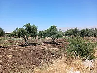 أرض للبيع في بلكوم الاوسط، القنيطرة 1600 م²