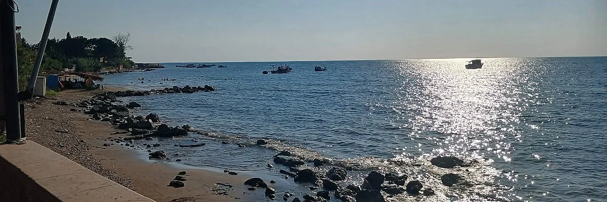 مضر معلا Cover