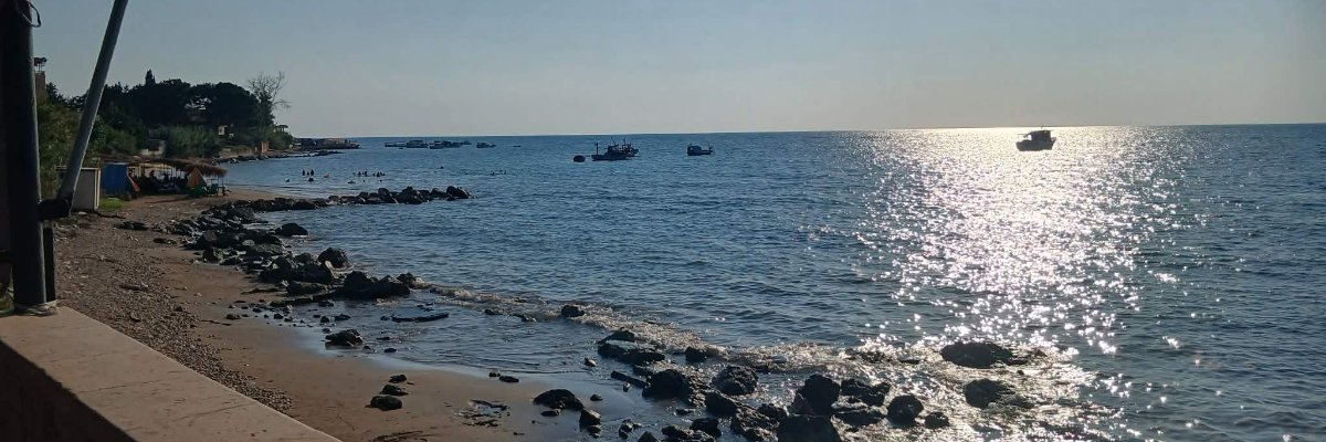 مضر معلا Cover
