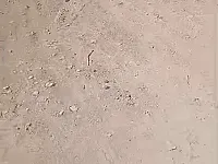 أرض زراعية للبيع في داريا، ريف دمشق - 3000 م²