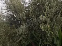 للبيع ارض في مدينة حرستا 7500متر