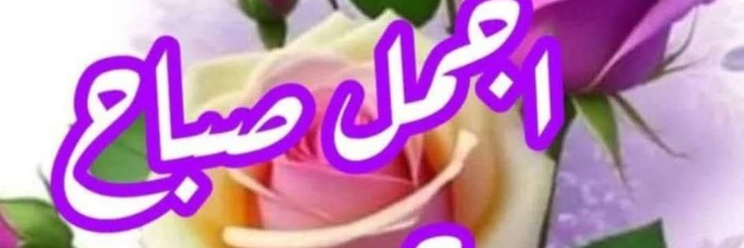 بشائر السعادة Cover