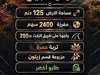 125 دنم أرض زراعية للبيع في المخرم - طابو أخضر بسعر مغري