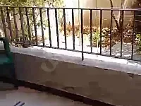 شقة أرضية للبيع في الزاهرة الجديدة قرب جامع البشير