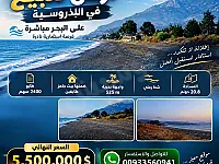 للبيع أرض واجهة بحرية في البدروسيه - 20800 م² بسعر 5.5 مليون