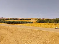 أرض زراعية للبيع في الذبداني ريف دمشق - 1000 م²