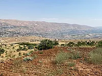 ارض في الزبداني باطلالة خلابة