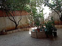 بيت عربي أرضي للبيع في حماة بحي القصور 365م² - فرصة استثمارية