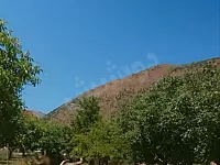 للبيع ارض زراعية في القنيطرة تسقي عنهر مباشر