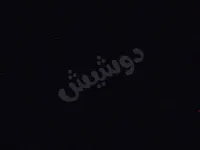 مساعد او مرافق شخصي في دمشق  بمنزل وليس حارس او 
Bodyguard