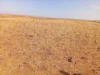 للبيع 5 دلمات أراضي زراعية في القنيطرة