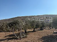 أرض للبيع في مركز أريحا 1670 م² طابو نظامي بسعر مغري