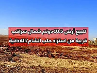 بيع أراضي زراعية في سراقب بسعر 5000$ للدونم