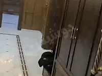 شقة للبيع في الفرقان بحلب - 6 غرف بـ725,000$