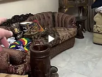 صالون كامل مساحة ٣٥ متر
