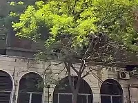 بناء ثلاث طوابق للبيع في الجسر الأبيض، دمشق