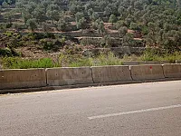أرض 4 دونم مشجرة زيتون للبيع في الحقباينة بسعر مغري